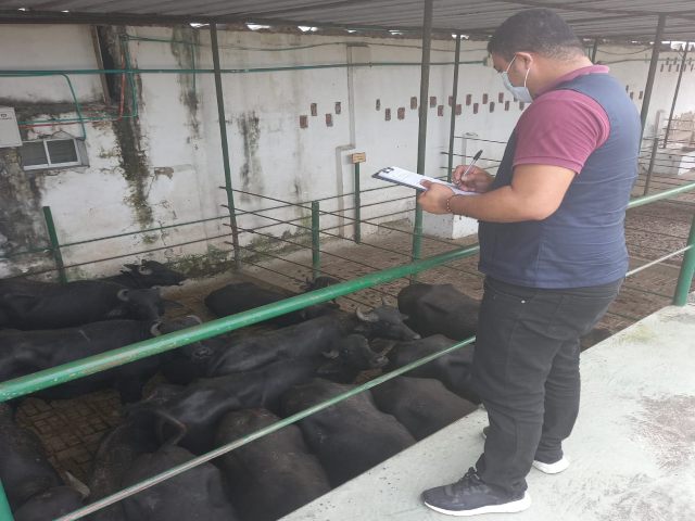 El ICA supervisa planta de beneficio en Atlántico 