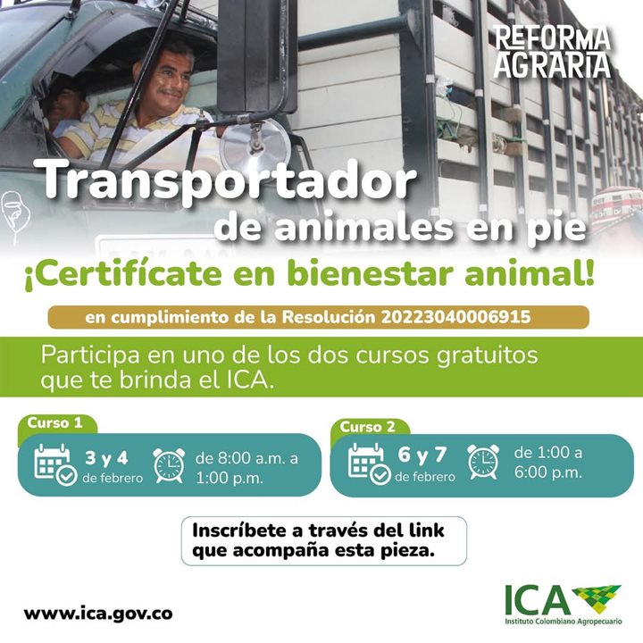 TRANSPORTADORESVIRTUAL.jpeg