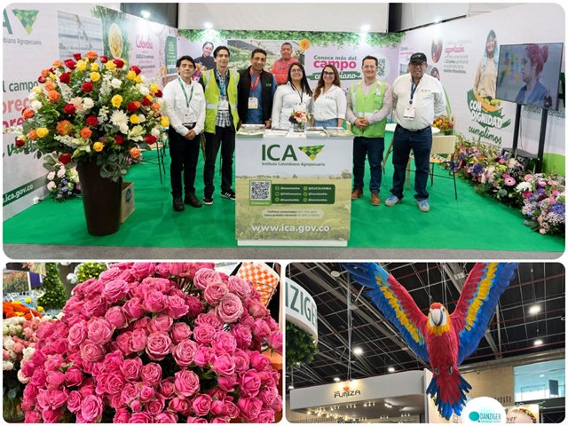 Proflora 2025. 