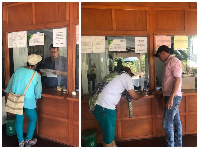 El ICA invita a los ganaderos del Vichada a expedir sus Guías Sanitarias de Movilización Interna de Animales