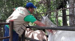 rueda-de-prensa-Casanare.JPG rueda-de-prensa-Casanare.JPG