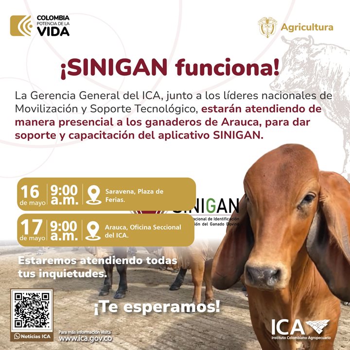 ARAUCA.jpeg