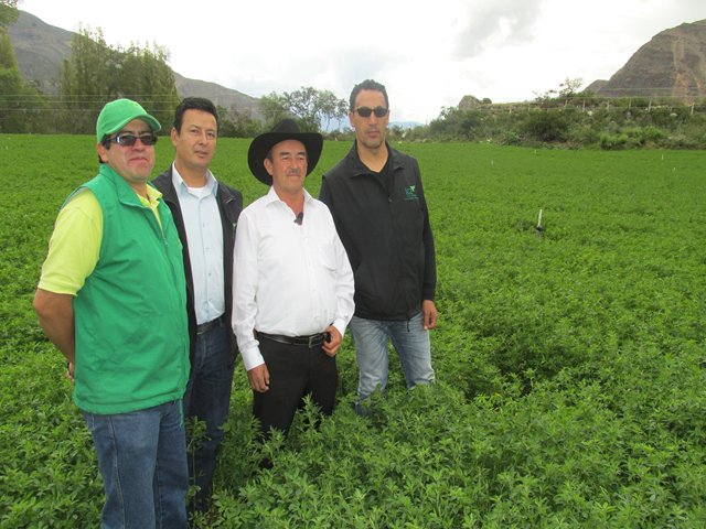 Sensores epidemiológicos,  una  estrategia para el campo sano