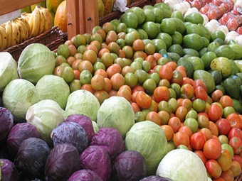 Más de 30 agricultores del Valle se certificaron en Buenas Prácticas Agrícolas