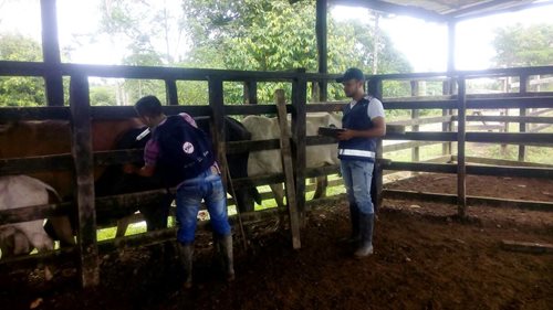 Boletin-Putumayo-2.jpg