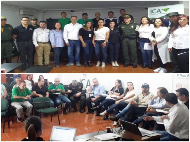 El CIIIP continúa articulando acciones en pro de la legalidad del sector agropecuario del Quindío