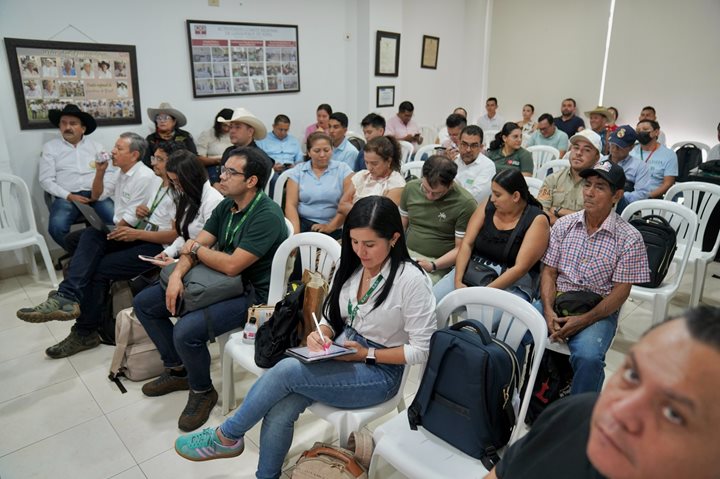 CASANARE1106.jpeg