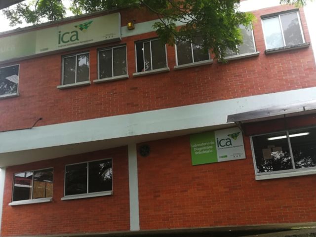 El ICA adelanta acciones para mejorar la prestación del servicio y salvaguardar la producción ganadera de Arauca