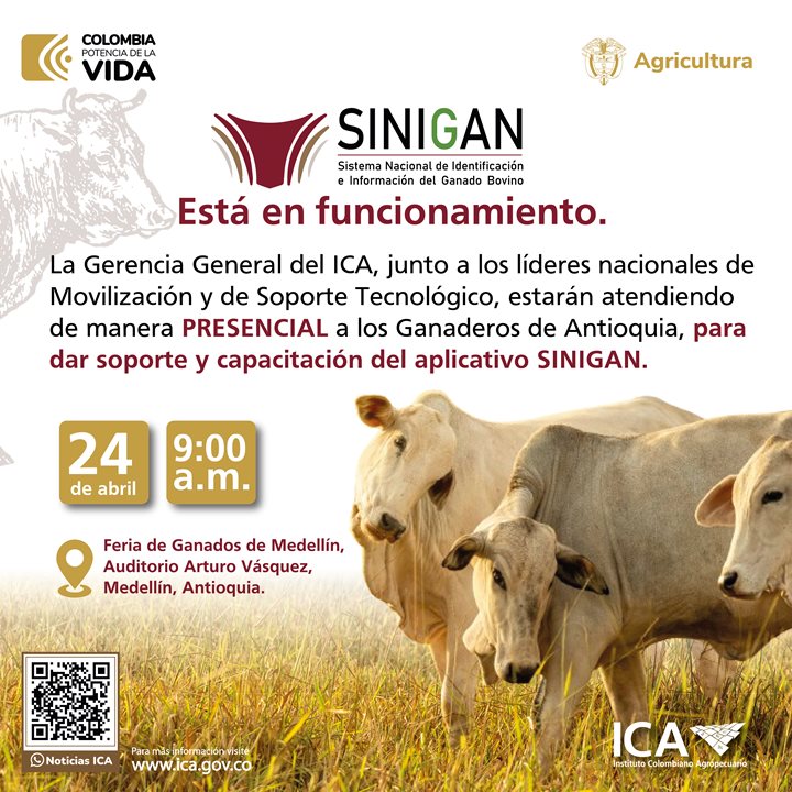 Sinigan-esta-en-funcionamiento_Mesa-de-trabajo-1.jpg