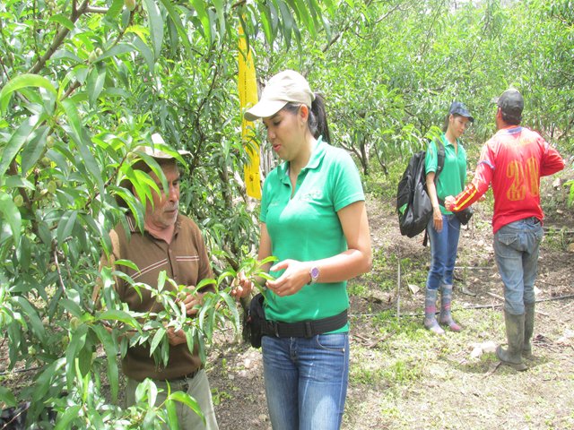 El ICA capacitó más de 150 productores agrícolas en Santander
