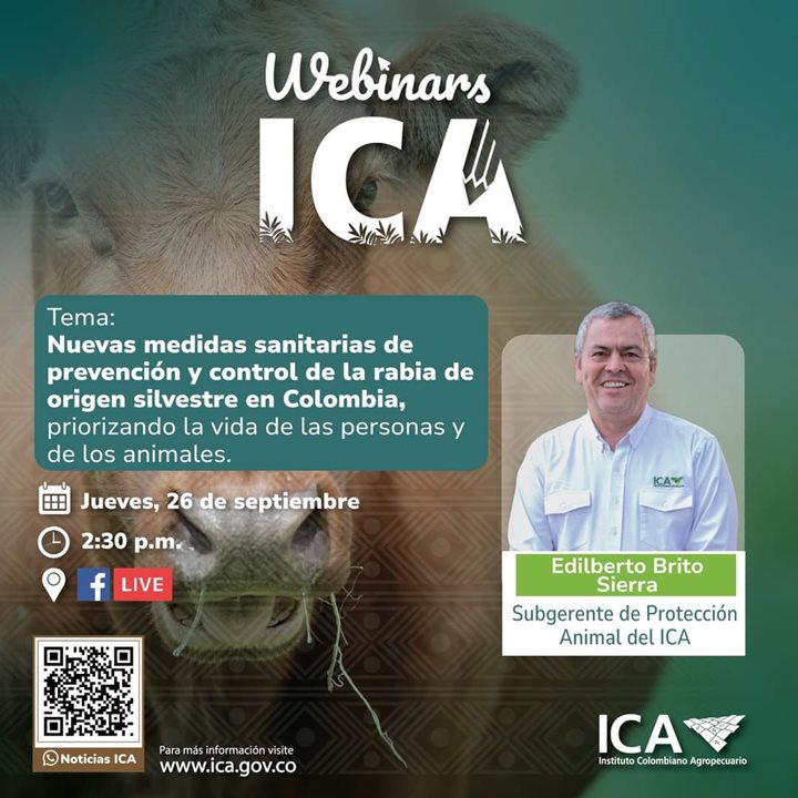 WEBINARS-ICA-RABIA-SILVESTRE.jpeg
