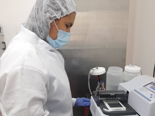 El ICA retoma el uso del kit SVANOVIR® para la detección de brucelosis bovina en Colombia 