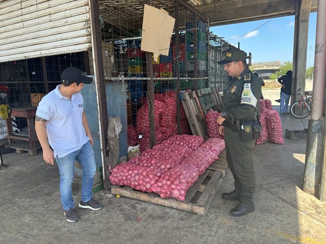 Inspección cebolla de bulbo