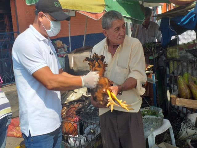 Predios visitados 