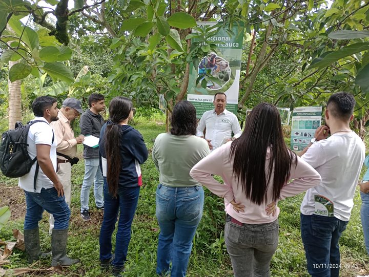 VALLEDELCAUCA18122024.jpeg