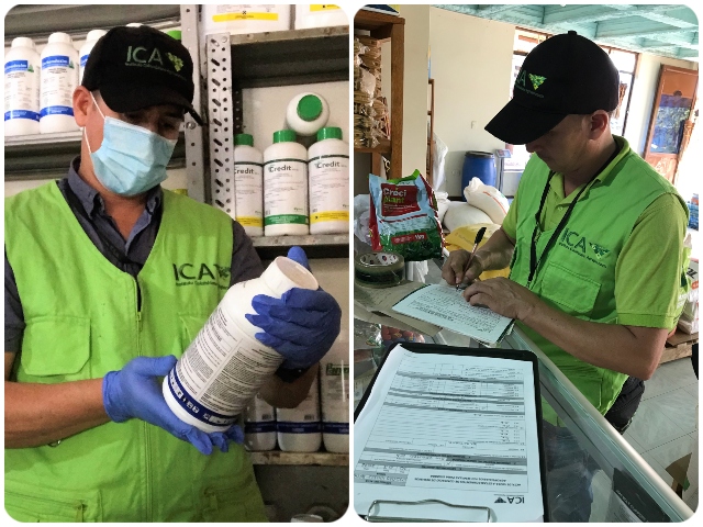 Vigilancia activa en la comercialización de insumos agrícolas y semillas para siembra en Guaviare