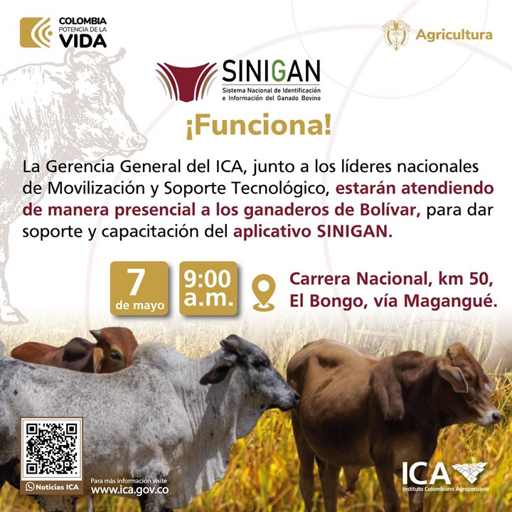 SINIGAN-BOLIVAR.jpeg
