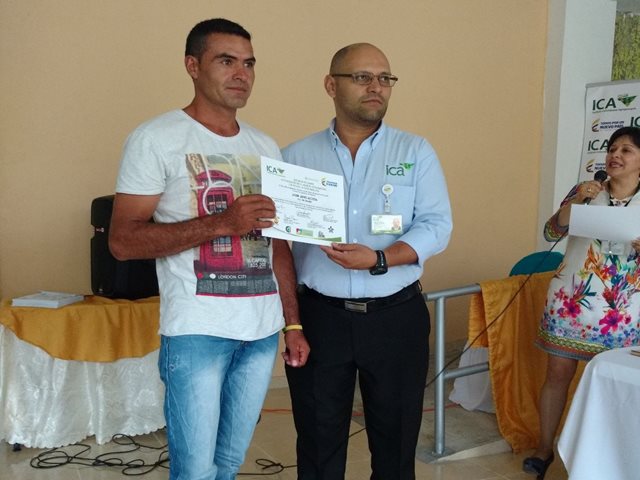 Certificados por el ICA, en Buenas Prácticas Agrícolas, más productores de caña panelera