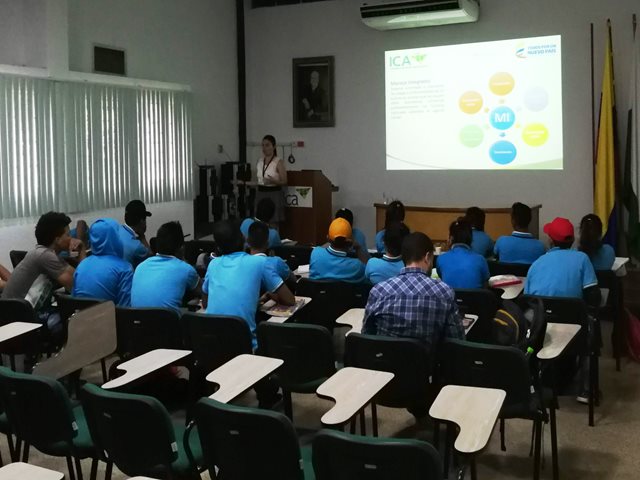 Estudiantes aprenden del Programa Fitosanitario Forestal del ICA