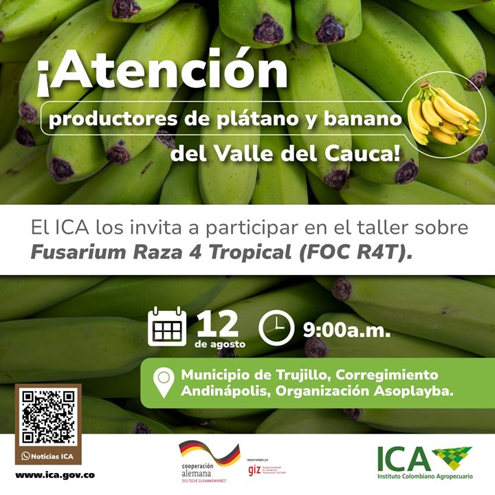 TALLER-FOCR4T.jpg