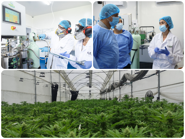 registro a empresa de preparaciones magistrales derivadas de cannabis para uso veterinario