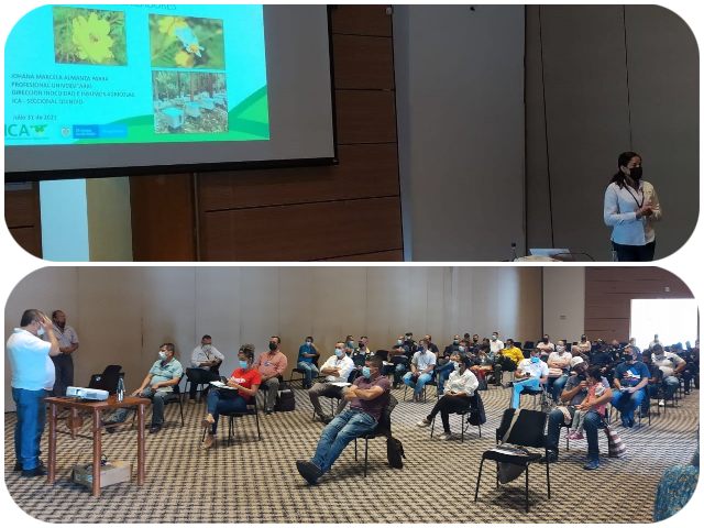 El ICA refuerza medidas para proteger a las abejas y otros polinizadores en el Quindío 