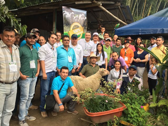 El ICA fortalece el trabajo con  productores ovino caprinos del Huila 
