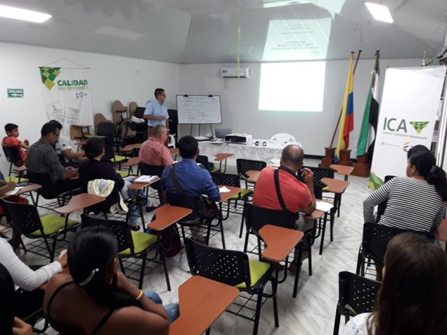 Productores avícolas en el Putumayo trabajan para tecnificar sus granjas 