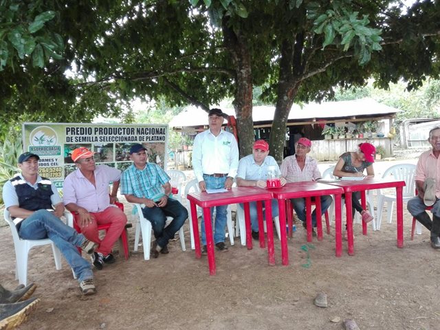 El ICA otorgó registro como productor de semilla seleccionada a la asociación de productores agrícolas de El Retorno, Guaviare
