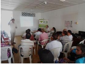 El ICA socializa resolución que reglamenta registro de viveros productores de cítricos en Córdoba 