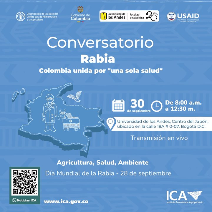 ICAORIGENDERABIASILVESTRE.jpeg