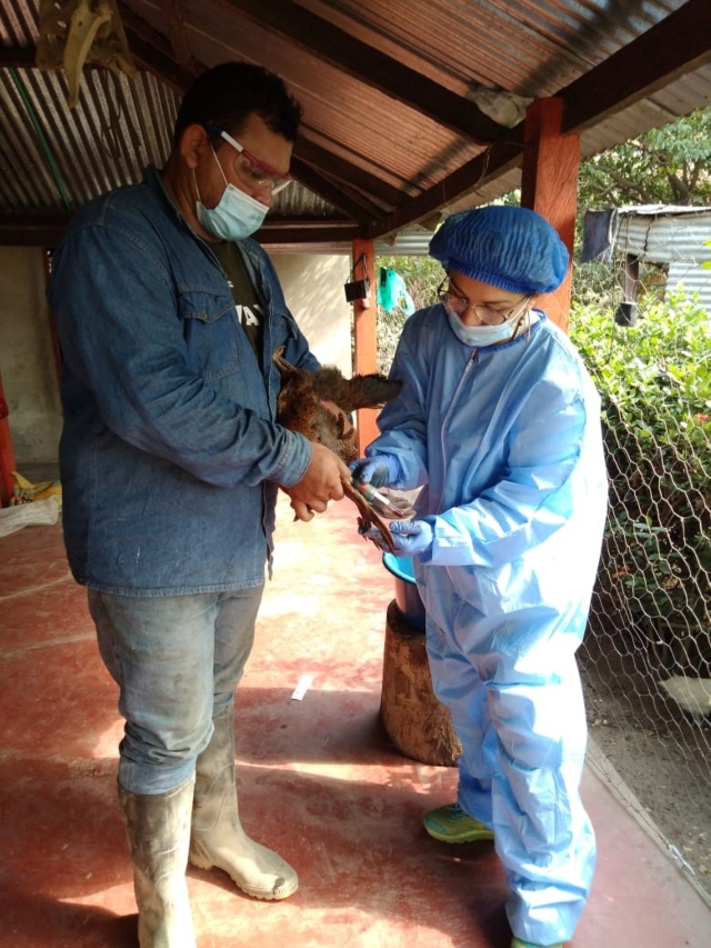 Foto-ICA-Funcionarios-ICA-–-Fenavi-en-actividades-de-campo-1.jpg