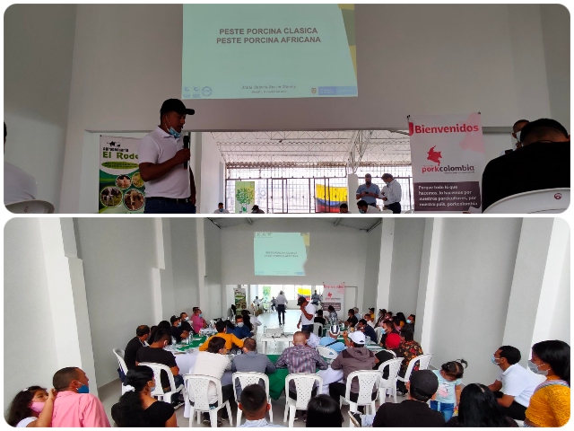 Porcicultores del Cauca se actualizan en enfermedades de control oficial 