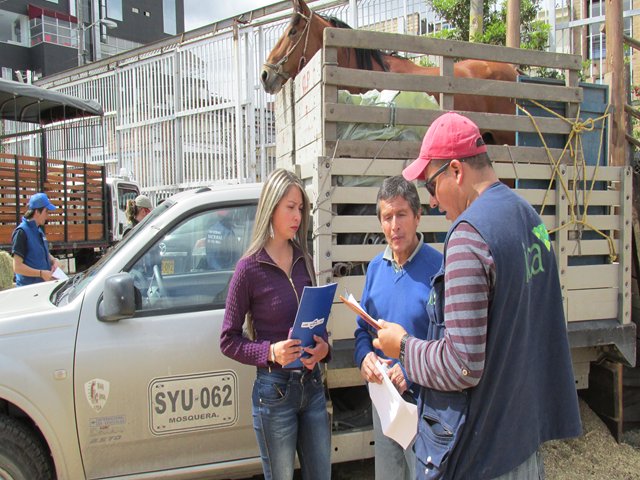 El ICA inspecciona el ingreso de más de 600 equinos a Agroexpo