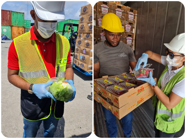 El ICA inspecciona los productos agropecuarios que ingresan a San Andrés