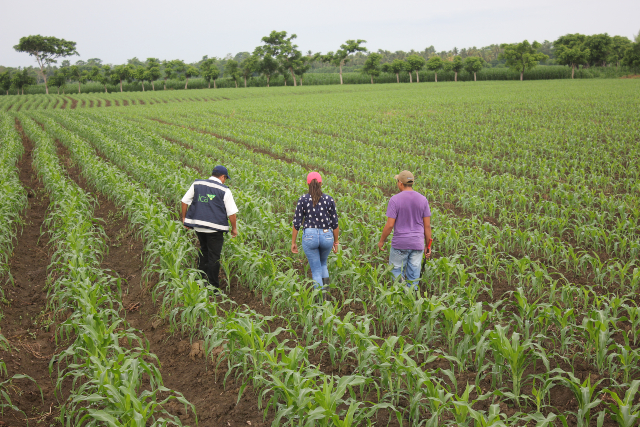 En Aguachica, Cesar, el ICA organiza seminario sobre manejo adecuado de residuos posconsumo