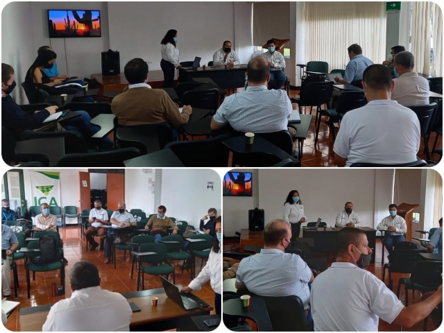 En Quindío, unión de capacidades entre entidades por el presente y futuro el cultivo del plátano  