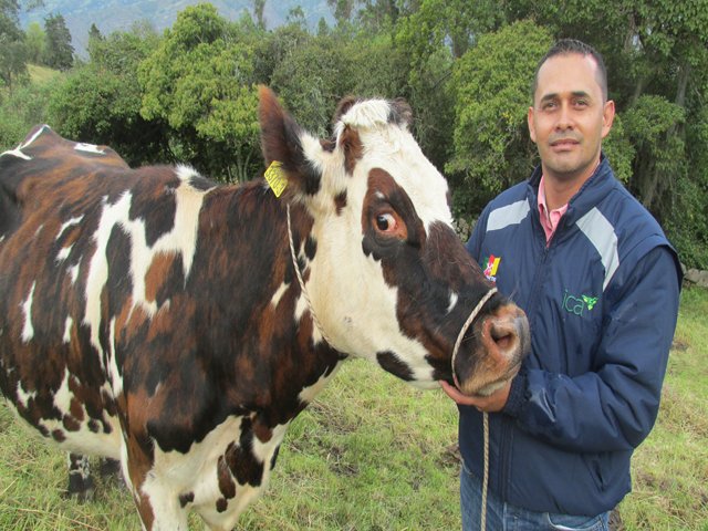 El 2 de marzo vence plazo para vacunación contra la Fiebre aftosa y la Brucelosis bovina 