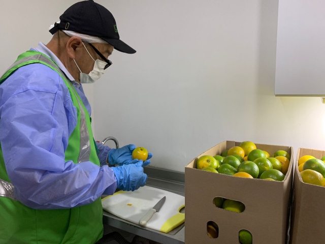 Foto-ICA-23-toneladas-de-naranjas-listas-exportacion-a-Republica-Dominicana-1.jpg Foto-ICA-23-toneladas-de-naranjas-listas-exportacion-a-Republica-Dominicana-1.jpg