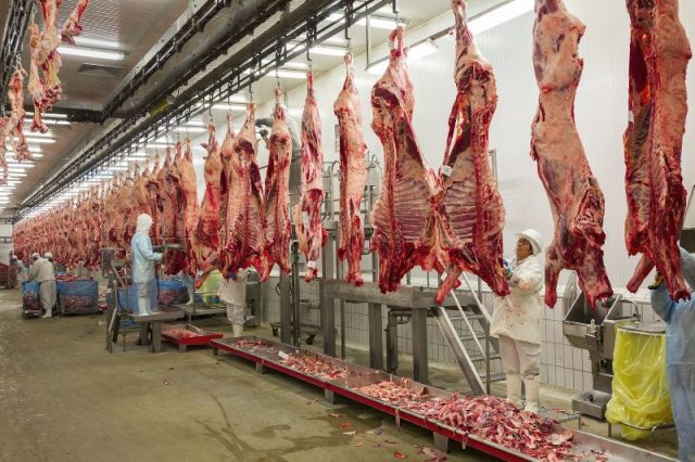 Israel es el nuevo mercado para la carne bovina colombiana