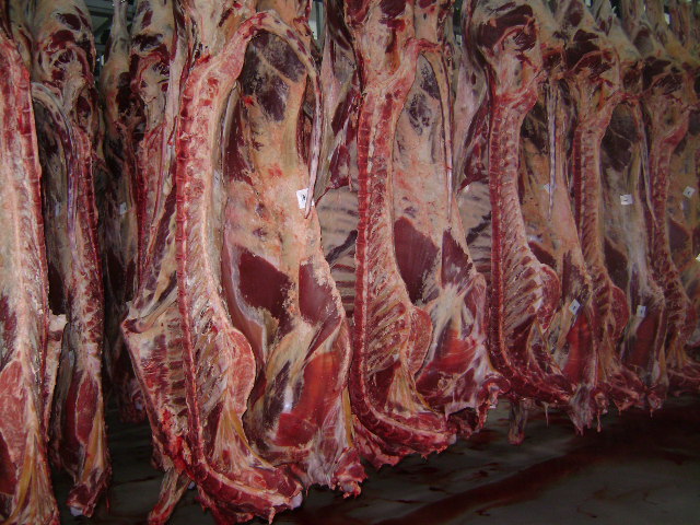 La carne bovina colombiana llegará a Angola