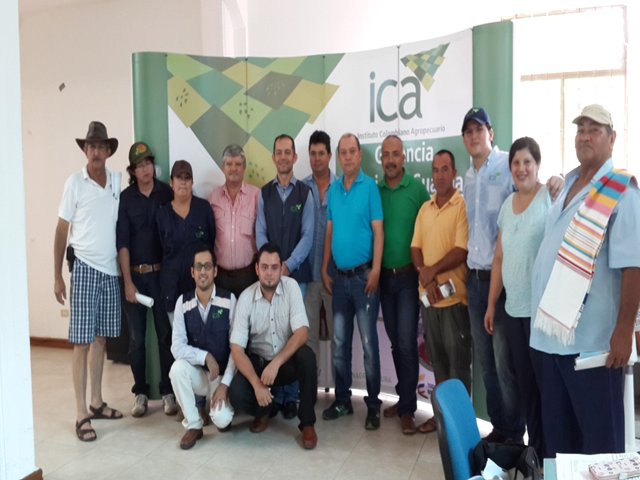 El departamento del Guainía listo para  iniciar el ciclo de vacunación contra fiebre aftosa