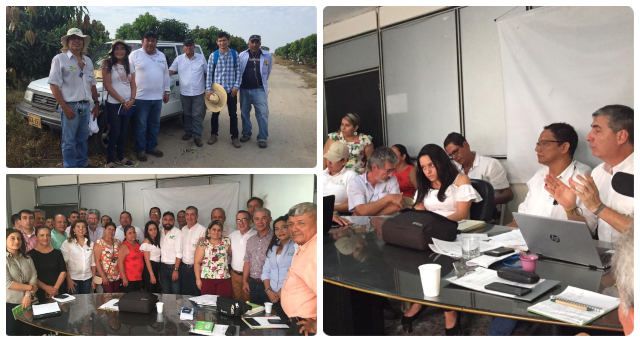 Fortalecer la producción de frutas en el Tolima, un propósito del ICA con los productores