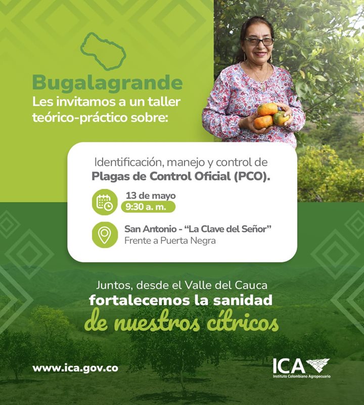 BUGALAGRANDE-VALLEDELCAUCA.jpeg
