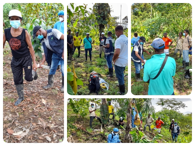 Capacitación con productores de plátano en el Chocó.