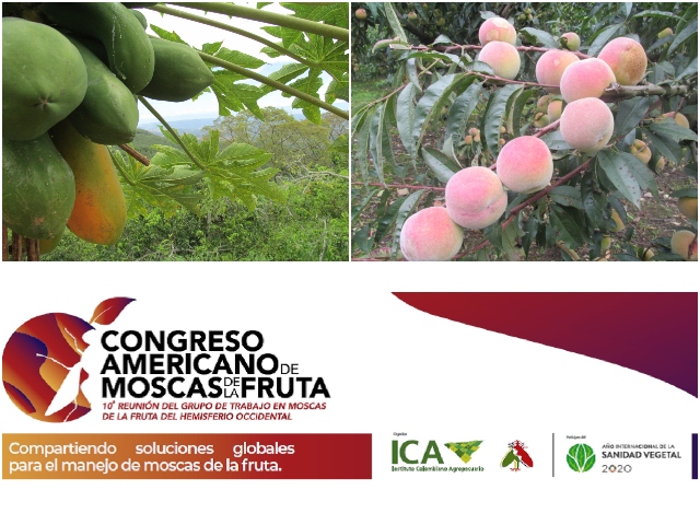 Congreso Americano de Moscas de la Fruta, se realizará del 2 al 6 de noviembre de 2020 