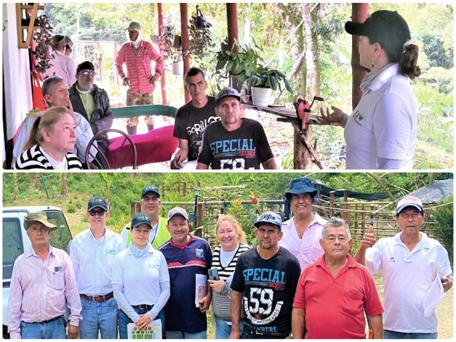 En Risaralda, el ICA acompaña  a pequeños productores agrícolas para el éxito de la cosecha y la seguridad alimentaria  