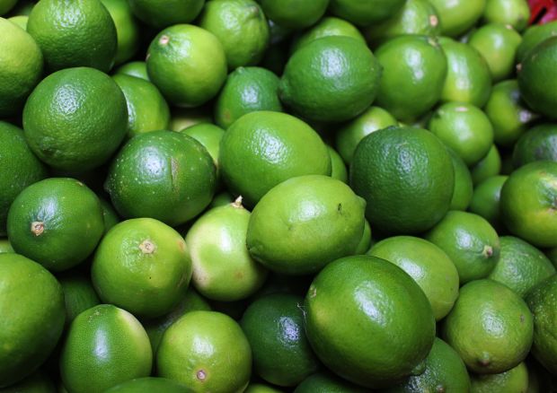 Vía libre a exportaciones de limón Tahití a Argentina