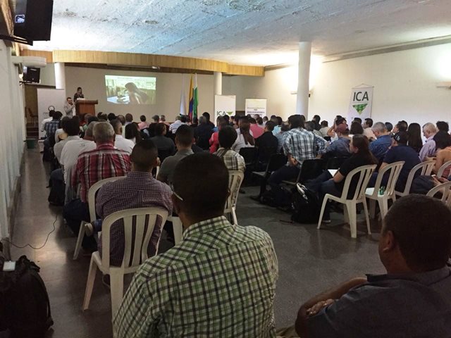 El ICA socializa en Antioquia, medidas sanitarias para el control de la brucelosis bovina 