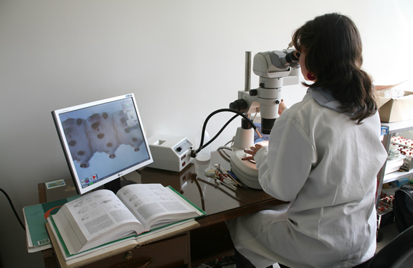 Profesionalización y fortalecimiento en materia sanitaria y fitosanitaria